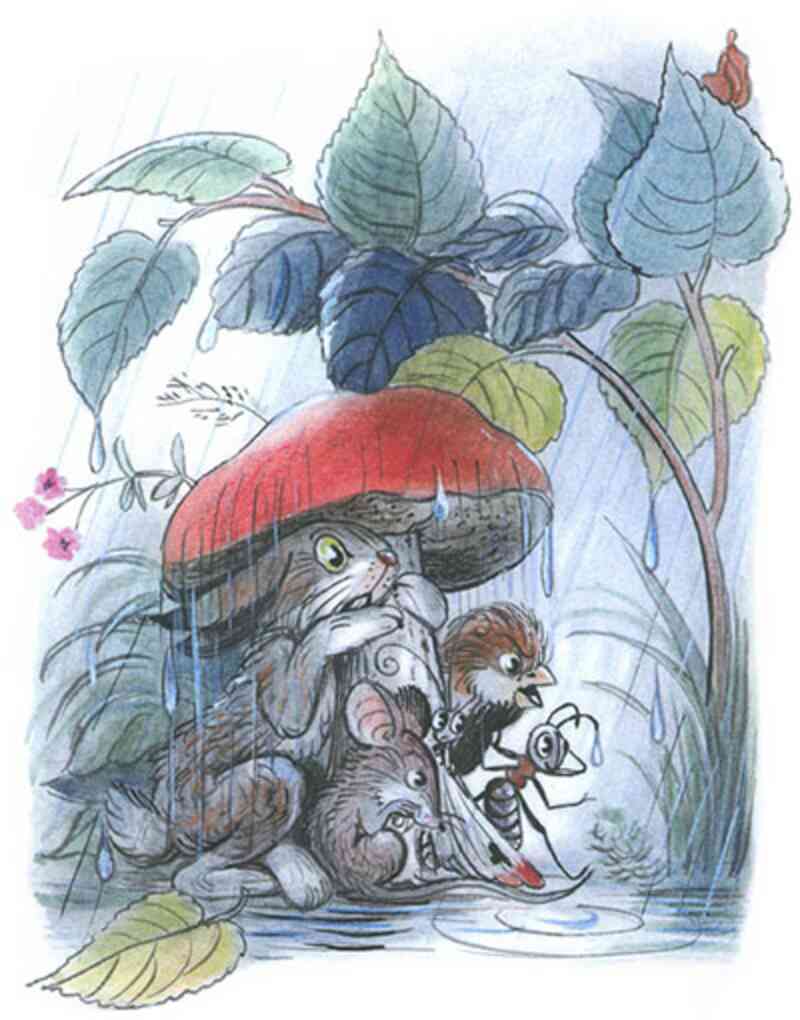 Под грибом (иллюстрация 11)