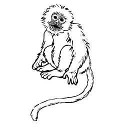 Раскраска Печальная обезьяна