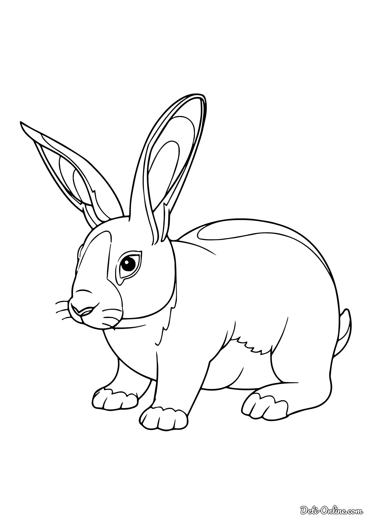 Раскраска Красивый кролик распечатать или скачать