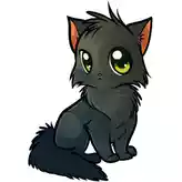 Аниме кот