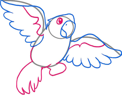 Как нарисовать попугая 4