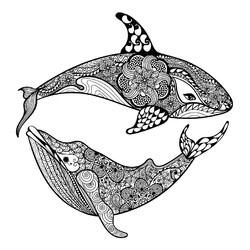 Акула и кит