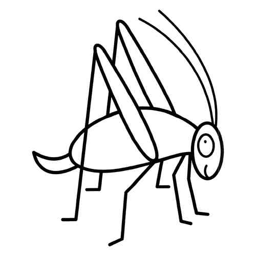 Раскраски насекомых для малышей: распечатать