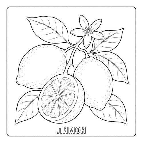 Раскраска Лимоны