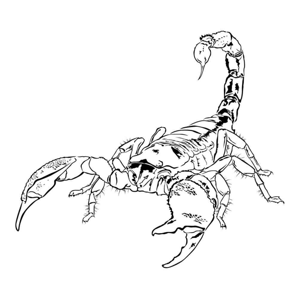 Страшный Скорпион раскраска